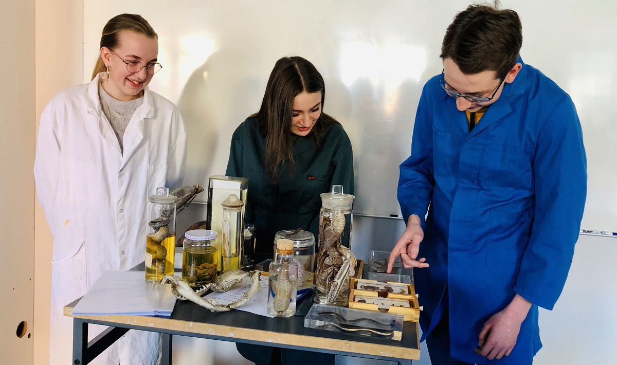 Klädkod labbrock … Erline, Elsy och Pelle lovordar sin utbildning bland fossil och preparat. Bild: Malin Fredriksson